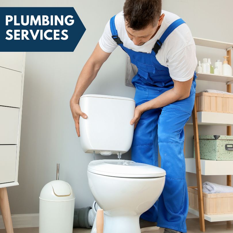 Plumbing Company in Applegate, MI